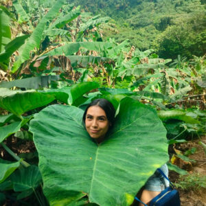 Visita mirador Brisas del Norte